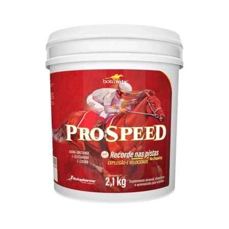 BOTUMIX PRO SPEED PO 2,1KG