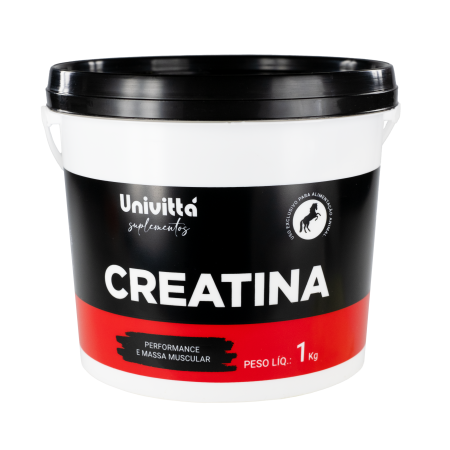 CREATINA UNIVITTA 1Kg